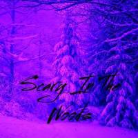 Scary In The Woods(feat. Vanic, Ekali & smle)_Many People,Vanic,Ekali,smle
