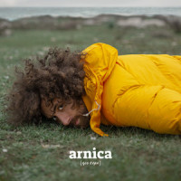 Arnica_Gio Evan