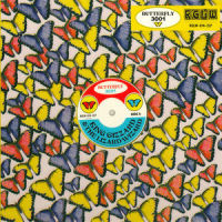 Ya Love_King Gizzard & The Lizard Wizard,Hector Oaks