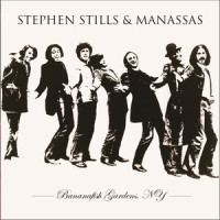 Do You Remember The Americans?_Manassas,Stephen Stills
