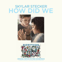 How Did We_Skylar Stecker