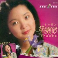人生一条路_邓丽君