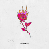 Violets_Josh Golden