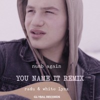 Numb Again_Radu,White Lynx