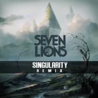 Days to Come_Seven Lions,Singularity