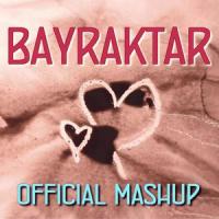 BAYRAKTAR (feat. Тарас Боровок)_Lisa Schettner,Tyler Brooker,Тарас Боровок