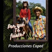 ¿Por Qué Te Fuiste?_Carlos Peña,Fernando Colmenarez