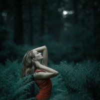 Blanket of Bliss_Especialistas de Musica para Dormir,Yoga Sounds,Spa