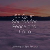 Fading Twilight_Wellness,Spa & Spa,Classical Study Music