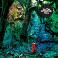 Cabinet of Curiosities_Jacco Gardner