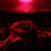 For All You Give_The Paper Kites,Lucy Rose