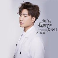 分开后我想了你多少回_陈雅森