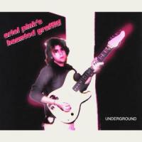 You're Too Late_Ariel Pink