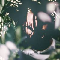 Aiir_Henry Green