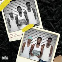 Ramasser ce n'est pas voler (feat. Zoume)_Over_flow,Zoúme
