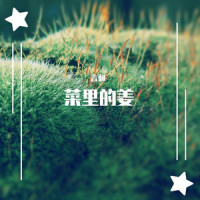 菜里的姜_言和