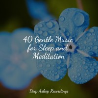 Time to Sleep_Deep Sleep,Nature Sound Collection,Ocean Sounds