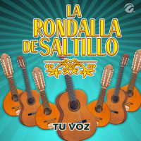 Tu Voz_La Rondalla De Saltillo,D.A.R.