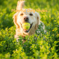 Piano Tunes Dog_Pet Music Therapy,Pets Love Music,Piano Peace