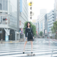 今夜はShake it !_SKE48