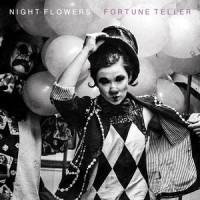 No Coming Down_Night Flowers