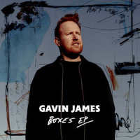 Fake Love_Gavin James
