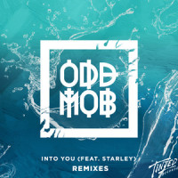 Into You (feat. Starley)_Odd Mob,Starley