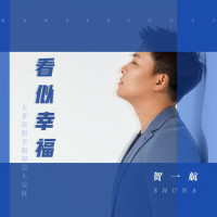 看似幸福_贺一航