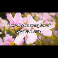i wrote this song for u_Brandon Ellis