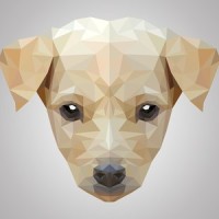 Calm Universe_Sleepy Dogs,Dog Music Therapy,Dog Music Dreams