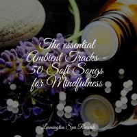 Calmness_Spa,Zen,Sleep Sounds Rain