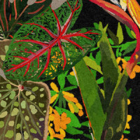Mt Baker_Kaitlyn Aurelia Smith