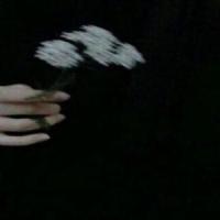 Pain_ANZA