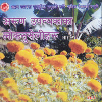 Simali Seuli-Chandi Geet_Nabin Khadka,Kamal Khatri,Pustaka Khadka,Indira Gole Gurung,Dil Rasil,Hari Bahadur Khatri,Arun Upatyaka Sanskritik Samuha