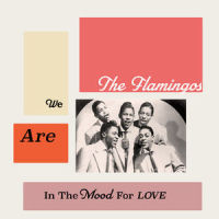 Were or When_The Flamingos