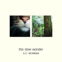 35 In Shade_A.C. Newman