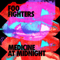Chasing Birds_Foo Fighters