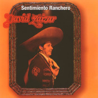 No tiene la culpa el Indio_David Zaizar