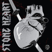 Stone Heart_Saber梁维嘉