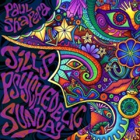 Duel of the Tarot (feat. Bradley Johnson)_Paul Shapera,Bradley Johnson