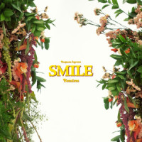 Smile_Benjamin Ingrosso,Michael Feiner