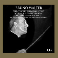 III. Allegretto grazioso (Live)_Bruno Walter,Berliner Philharmoniker