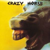 I Don't Want to Talk About It_Crazy Horse