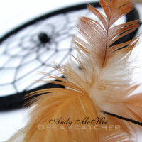 Dreamcatcher_Andy Mckee