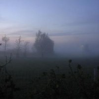 Lucid Dream_Frozen Silence