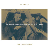 Stealin_North Mississippi Allstars