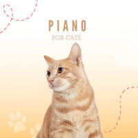 Theory Piano_Pet Music Therapy,Pets Love Music,Piano Peace