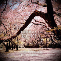 季節外れのさくら_KOKIA