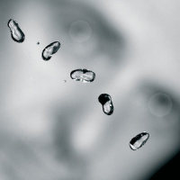 Darkness_Peter Gabriel