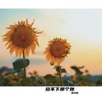 放不下那个她_洛天依